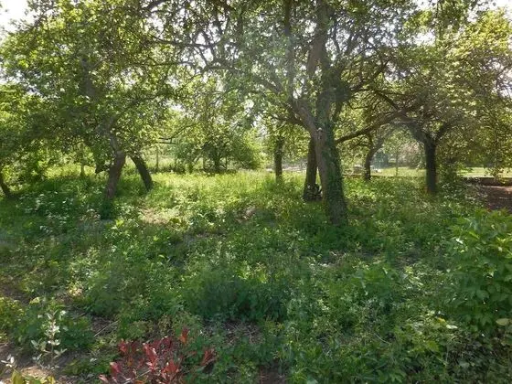 Premier Tek Büyük Yataklı Oda, Özel Banyo, Avlu Manzaralı