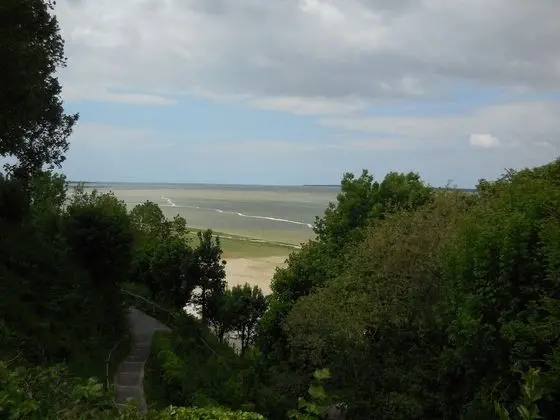 Premier Tek Büyük Yataklı Oda, Özel Banyo, Avlu Manzaralı