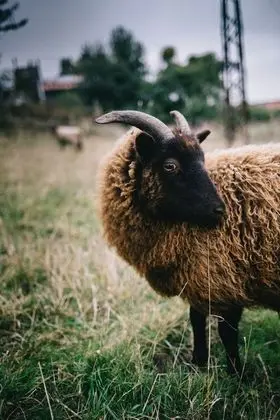 Romantic Stüdyo, Özel Banyo