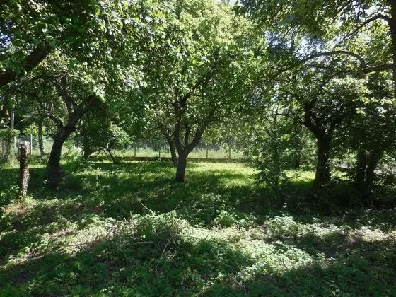 Romantic Stüdyo, Özel Banyo