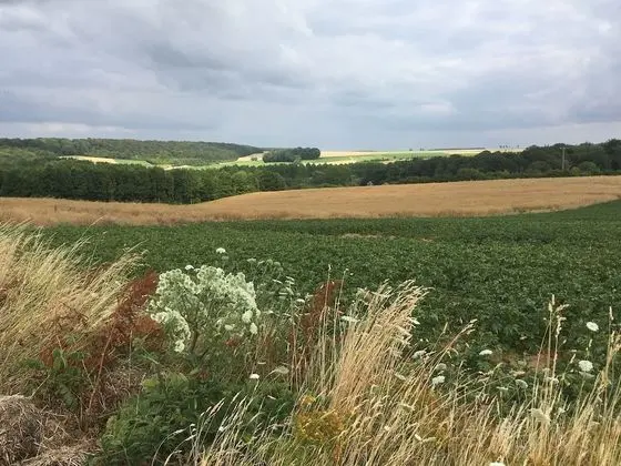 Romantic Stüdyo, Özel Banyo