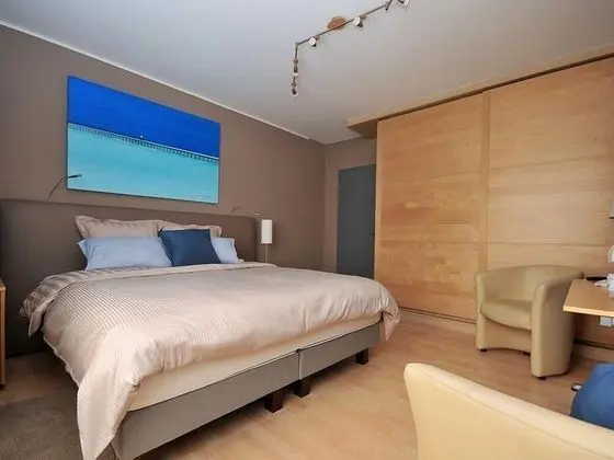 Deluxe Tek Büyük Yataklı Oda, Özel Banyo (Cerato)