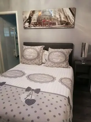 Tek Büyük Yataklı Oda, Park Manzaralı (Grise)