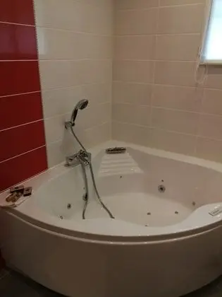 Tek Büyük Yataklı Oda, Park Manzaralı (Rouge)