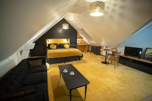 Premium Tek Büyük Yataklı Oda, Banyolu/Duşlu, Bahçe Manzaralı (Chambre « Années folles »)