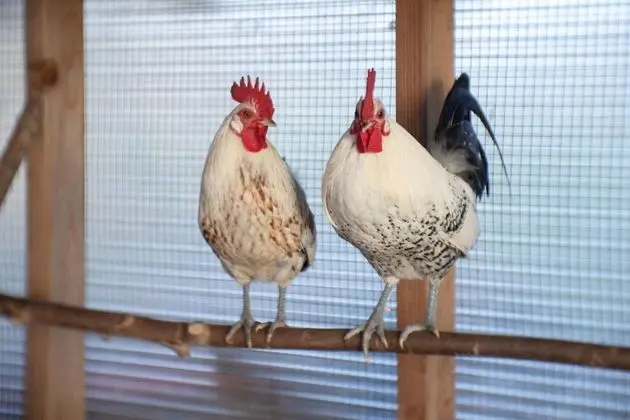 Superior Kır Evi, Engellilere Uygun, Bahçe Manzaralı (« soirs d’été »)