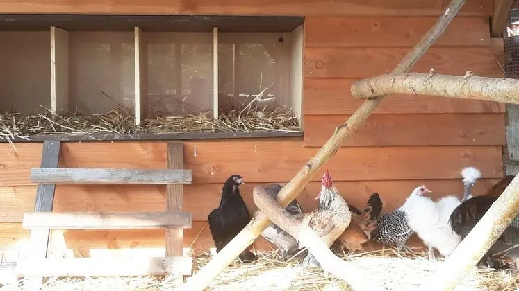 Superior Kır Evi, Engellilere Uygun, Bahçe Manzaralı (« soirs d’été »)
