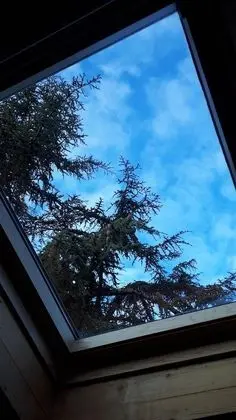 Comfort Tek Büyük Yataklı Oda, Banyolu/Duşlu