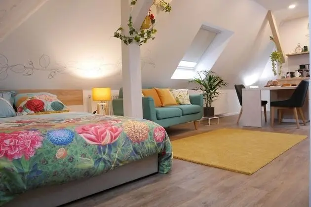 Comfort Stüdyo (Josephine)