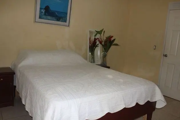 Standard Tek Büyük Yataklı Oda, 1 Yatak Odası, Bahçe Manzaralı