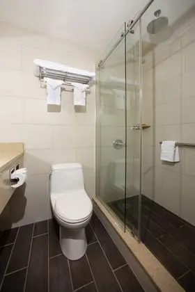 Elite Tek Kişilik Oda, 1 En Büyük (King) Boy Yatak, Şehir Manzaralı