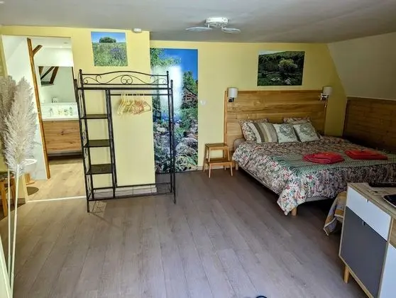 Comfort Üç Kişilik Oda, Teras, Nehir Manzaralı (Chambre Eté )