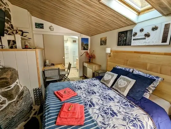 Traditional Tek Büyük Yataklı Oda, Özel Banyo, Zemin Kat (Chambre Automne )