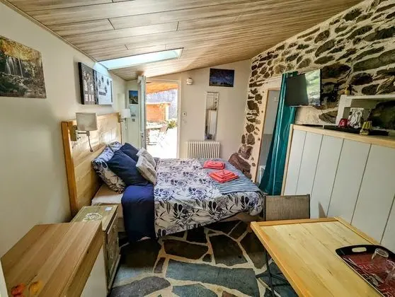 Traditional Tek Büyük Yataklı Oda, Özel Banyo, Zemin Kat (Chambre Automne )