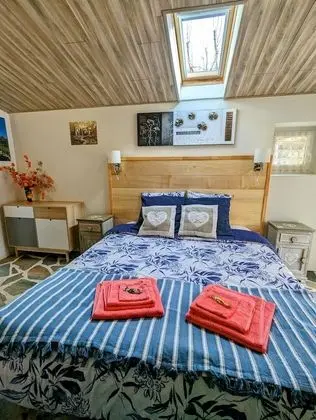 Traditional Tek Büyük Yataklı Oda, Özel Banyo, Zemin Kat (Chambre Automne )