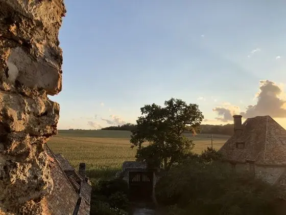 Tek Büyük Yataklı Oda, Özel Banyo, Bahçe Manzaralı