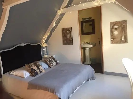 Tek Büyük Yataklı Oda (Jaipur)