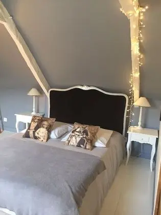 Tek Büyük Yataklı Oda (Jaipur)