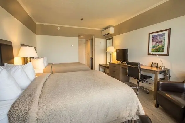 Classic Oda, 2 Büyük (Queen) Boy Yatak, Şehir Manzaralı