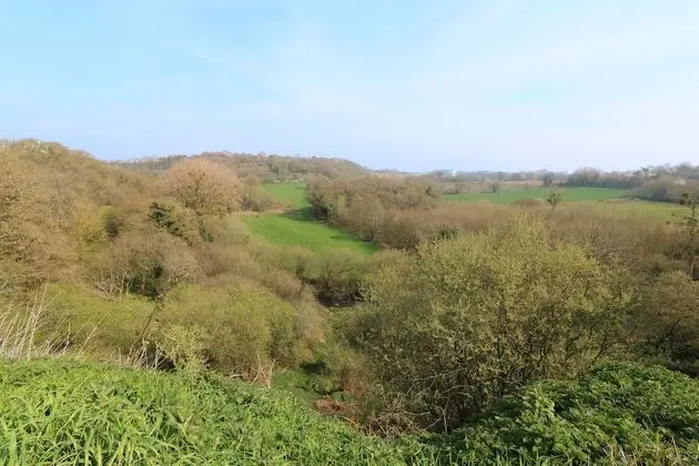 Tek Büyük Yataklı Oda (Madeleine)