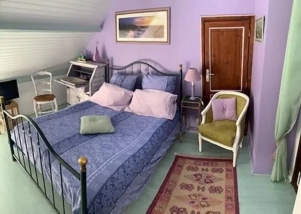 Classic Tek Büyük Yataklı Oda, Banyolu/Duşlu (Chambre Parme)