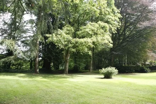 Süit (Les Trois Freres)
