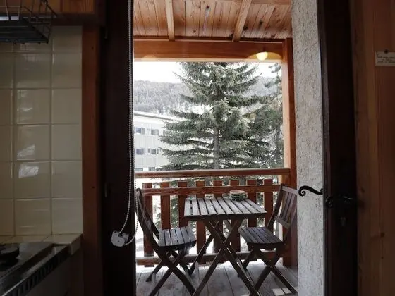 Dağ Evi, Banyolu/Duşlu, Dağ Manzaralı (Chalet + Appartement)