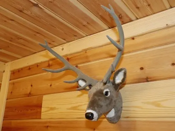 Family Apart Daire, Banyolu/Duşlu, Dağ Manzaralı