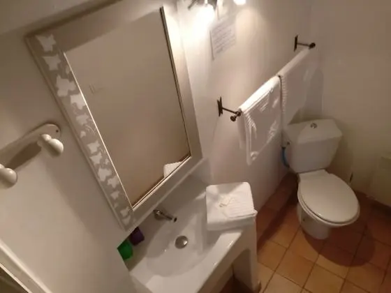 Tek Büyük Yataklı Oda, Banyolu/Duşlu (Iris)