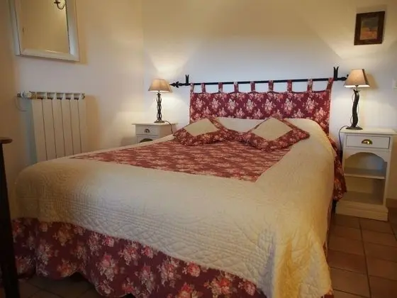 Tek Büyük Yataklı Oda, Banyolu/Duşlu (Iris)