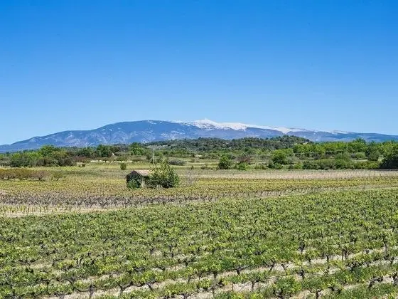 Superior Çatı Katı (Loft), Banyolu/Duşlu (Vue sur le Ventoux)