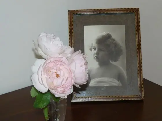 Junior Süit, Teras, Bahçeli