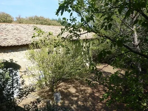 Tek Büyük Yataklı Oda (Damona)