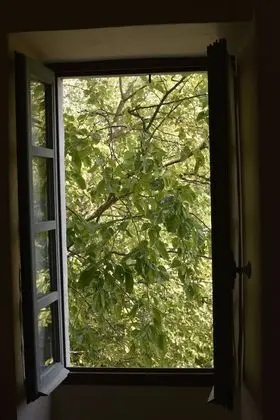 Tek Büyük Yataklı Oda (Sirona)