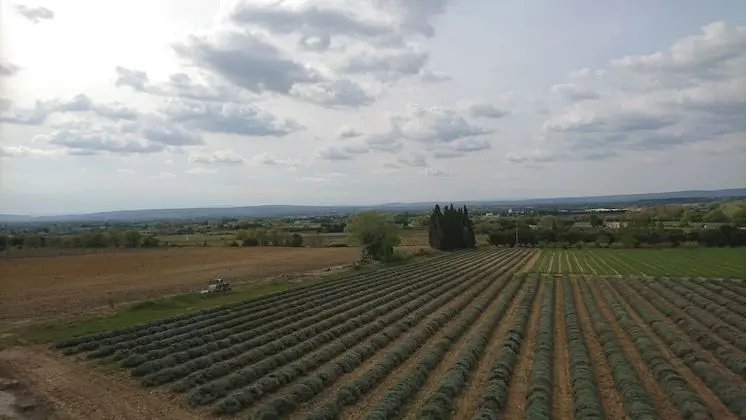 Tek Büyük Yataklı Oda (Jusquiame)