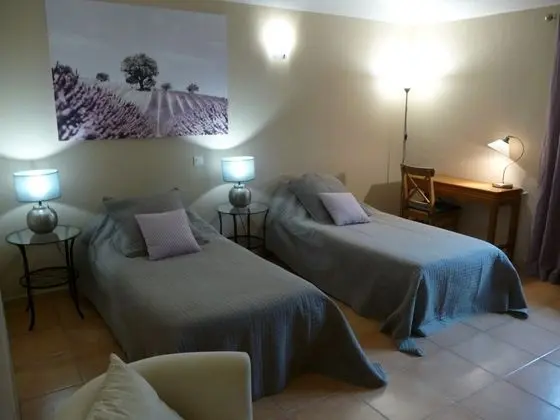 Standard Tek Büyük veya İki Ayrı Yataklı Oda (Chambre Lavande)