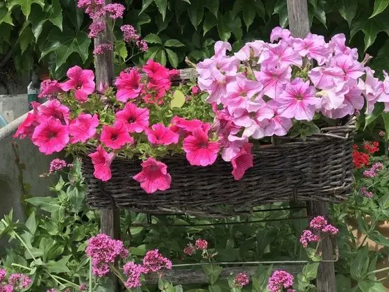 Tek Büyük Yataklı Oda, Havuz Manzaralı (Mont Serein)
