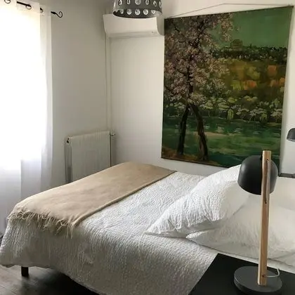 Tek Büyük Yataklı Oda, Havuz Manzaralı (Mont Ventoux)