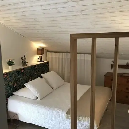 Tek Büyük Yataklı Oda, Üzüm Asması Manzaralı (Les Dentelles)