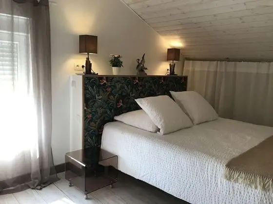 Tek Büyük Yataklı Oda, Üzüm Asması Manzaralı (Les Dentelles)