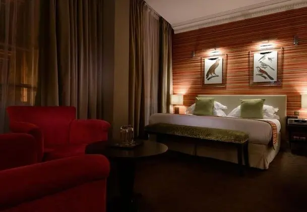 Deluxe Tek Büyük Yataklı Oda