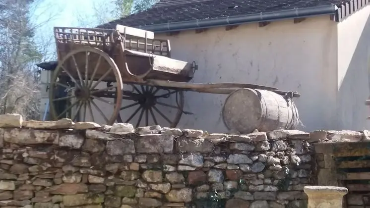 Comfort Oda, Ortak Banyo (Troglodyte)