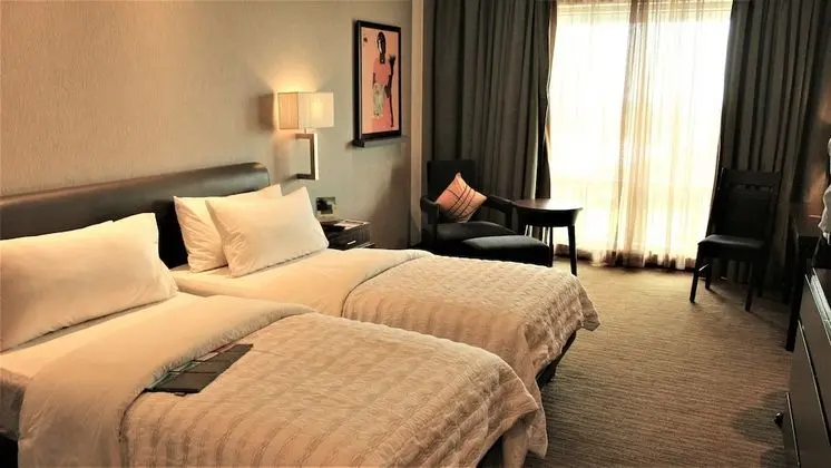 Deluxe Oda, 2 Tek Kişilik Yatak, Sigara İçilmez, Şehir Manzaralı