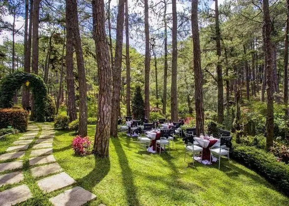 Deluxe Oda (Forest View, Non Aircon)