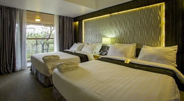 Deluxe Oda, Park Manzaralı