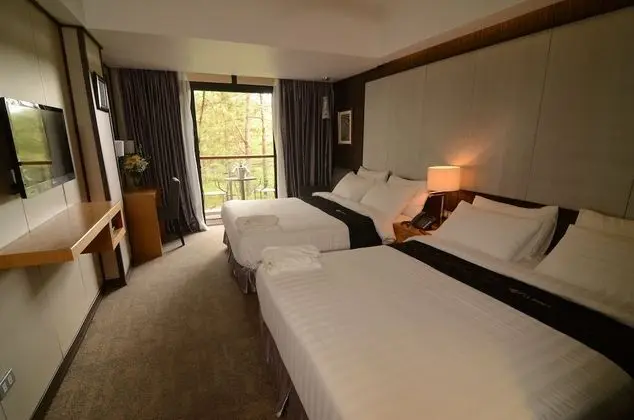 Deluxe Oda, Park Manzaralı