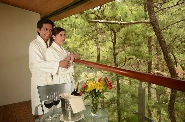 Deluxe Oda, Park Manzaralı