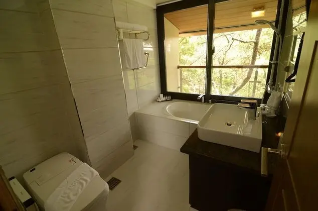 Deluxe Oda, Park Manzaralı