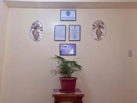 Standard Tek Büyük Yataklı Oda, Birden Çok Yatak, Ortak Banyo