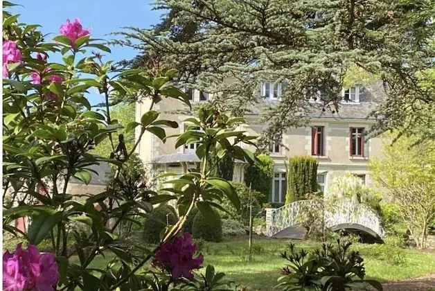 Tek Büyük Yataklı Oda (Marie Antoinette)